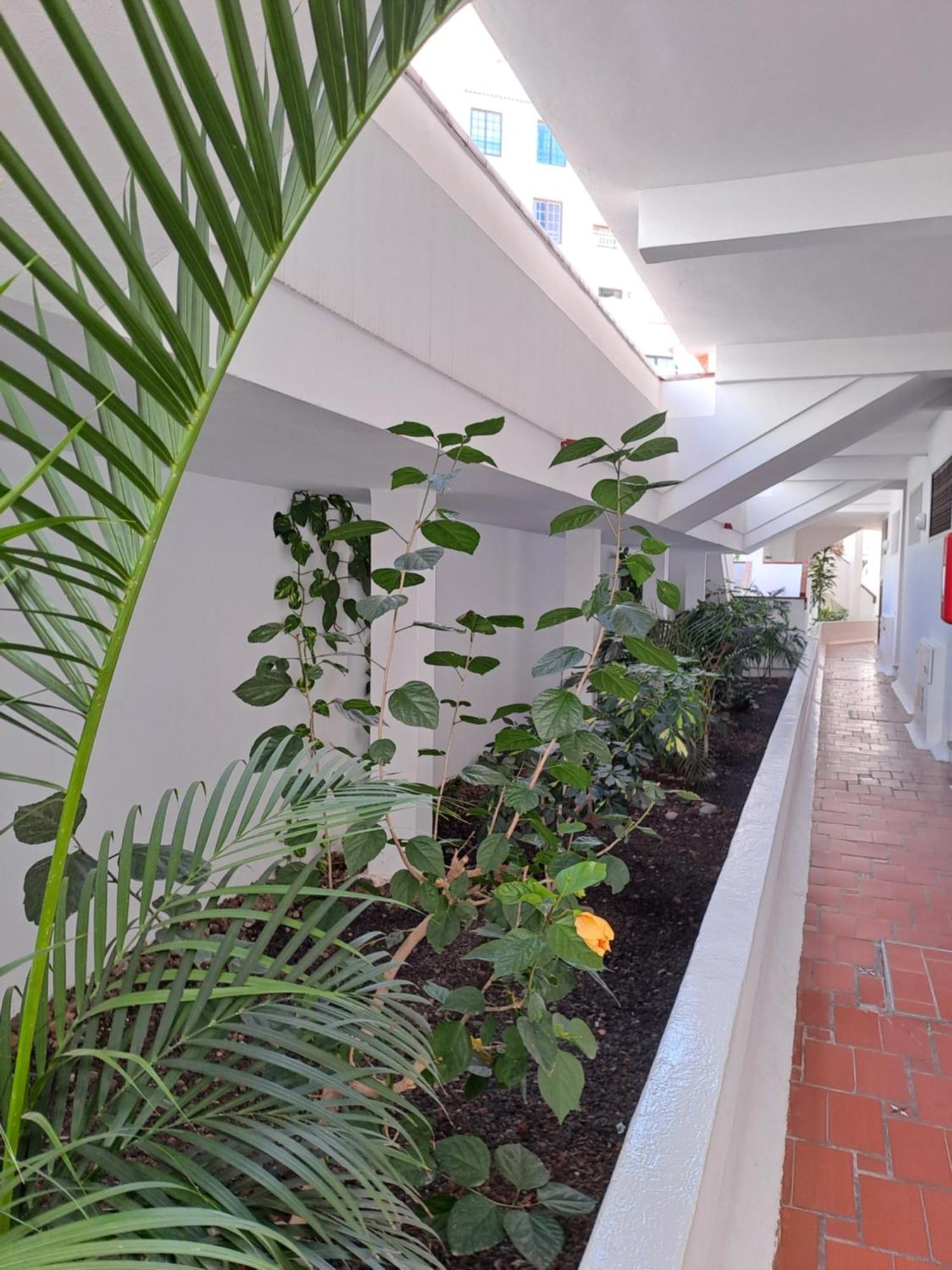 Ancora Home, Los Diamantes, Tenerife Лос-Крістіанос Екстер'єр фото
